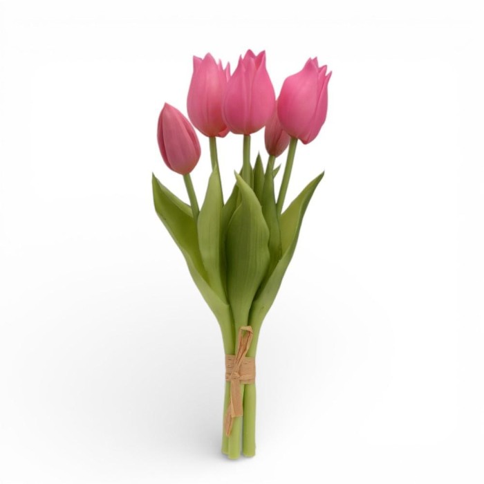 TULIPANI CM.25 3 FIORI 2 BOCCIOLI BEAUTY